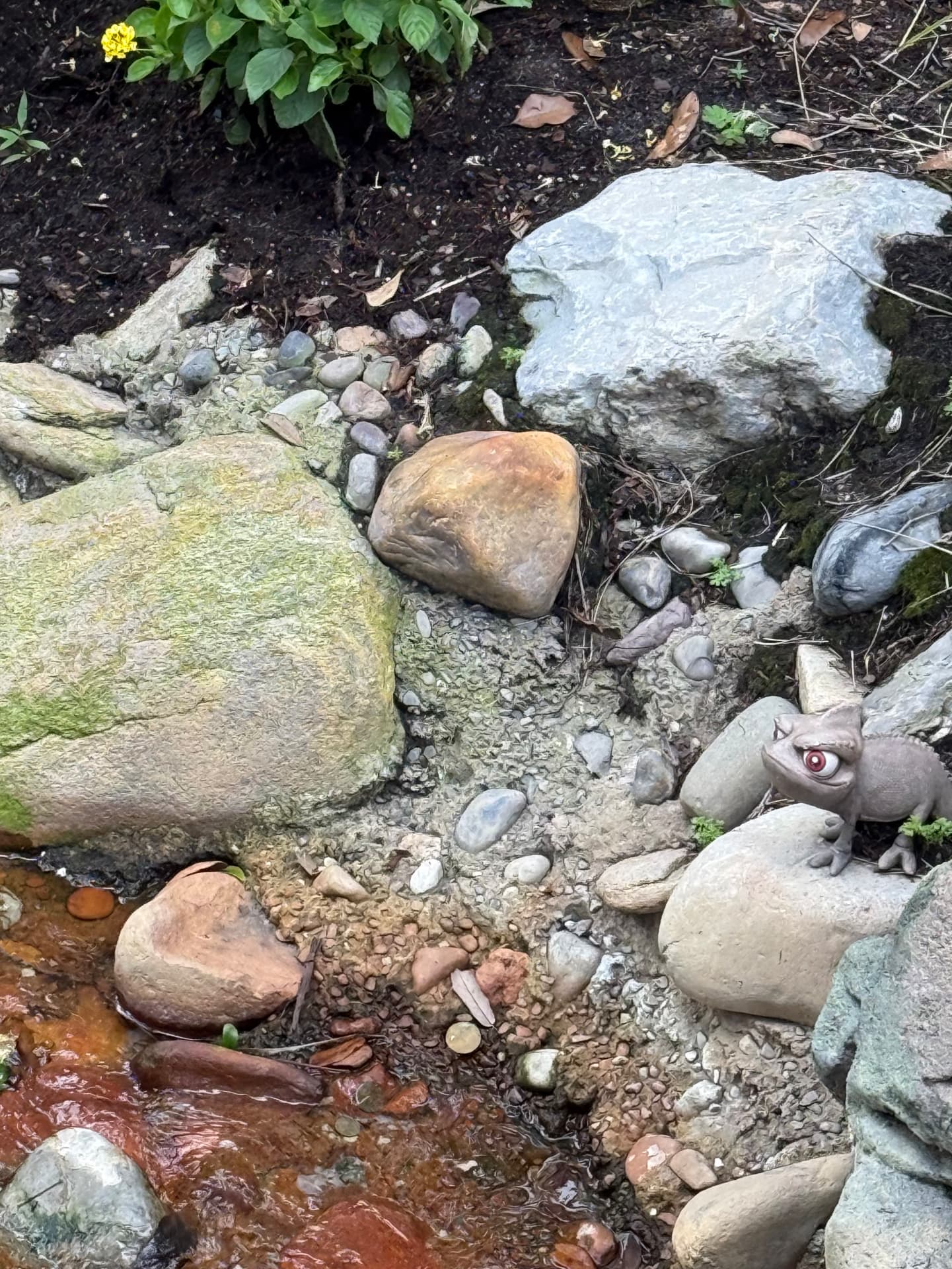 A small Pascal chameleon figure hidden among the rocks beside a stream