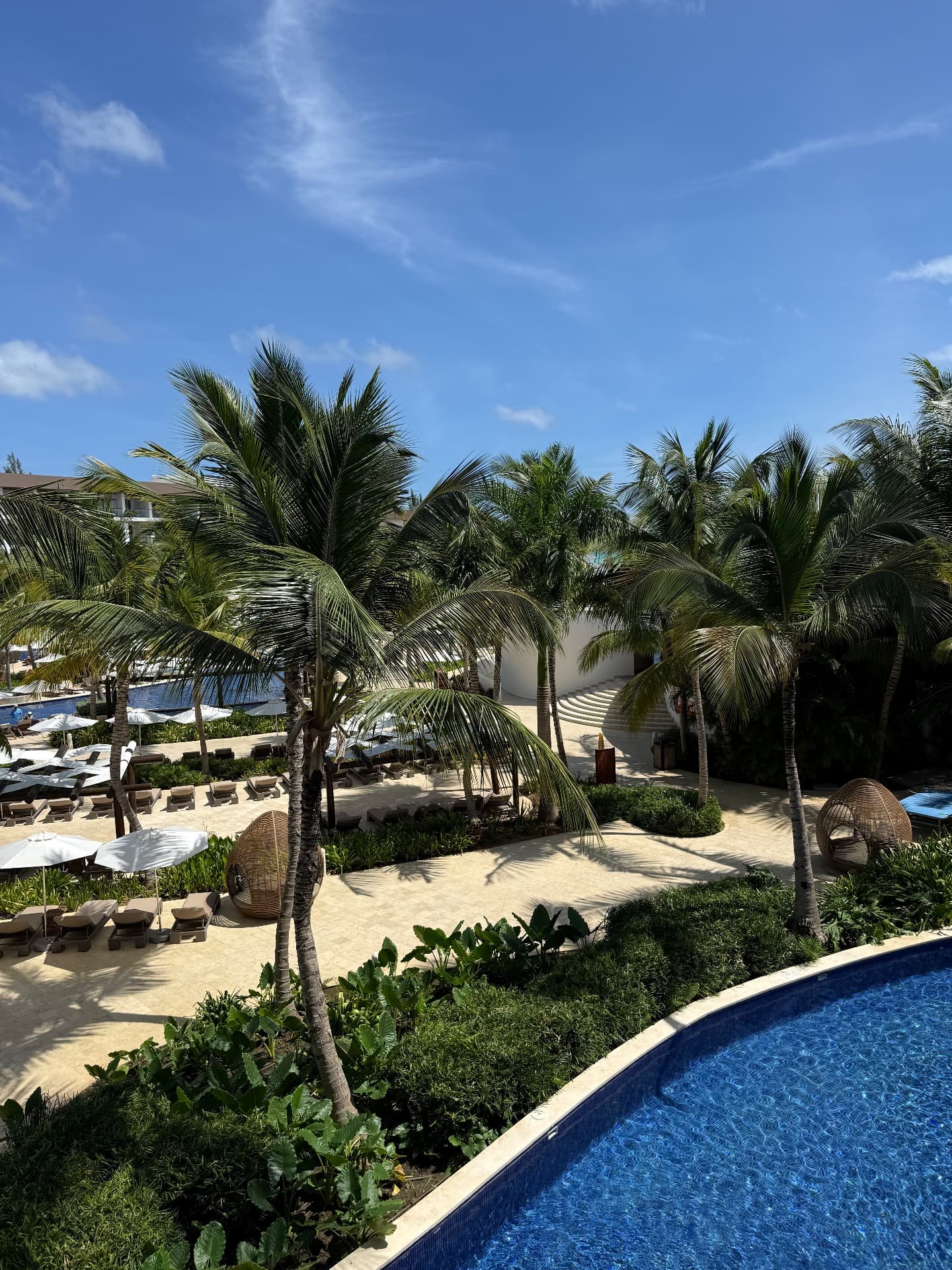 Hyatt Ziva Cap Cana, photo 6 from Bridget's visit