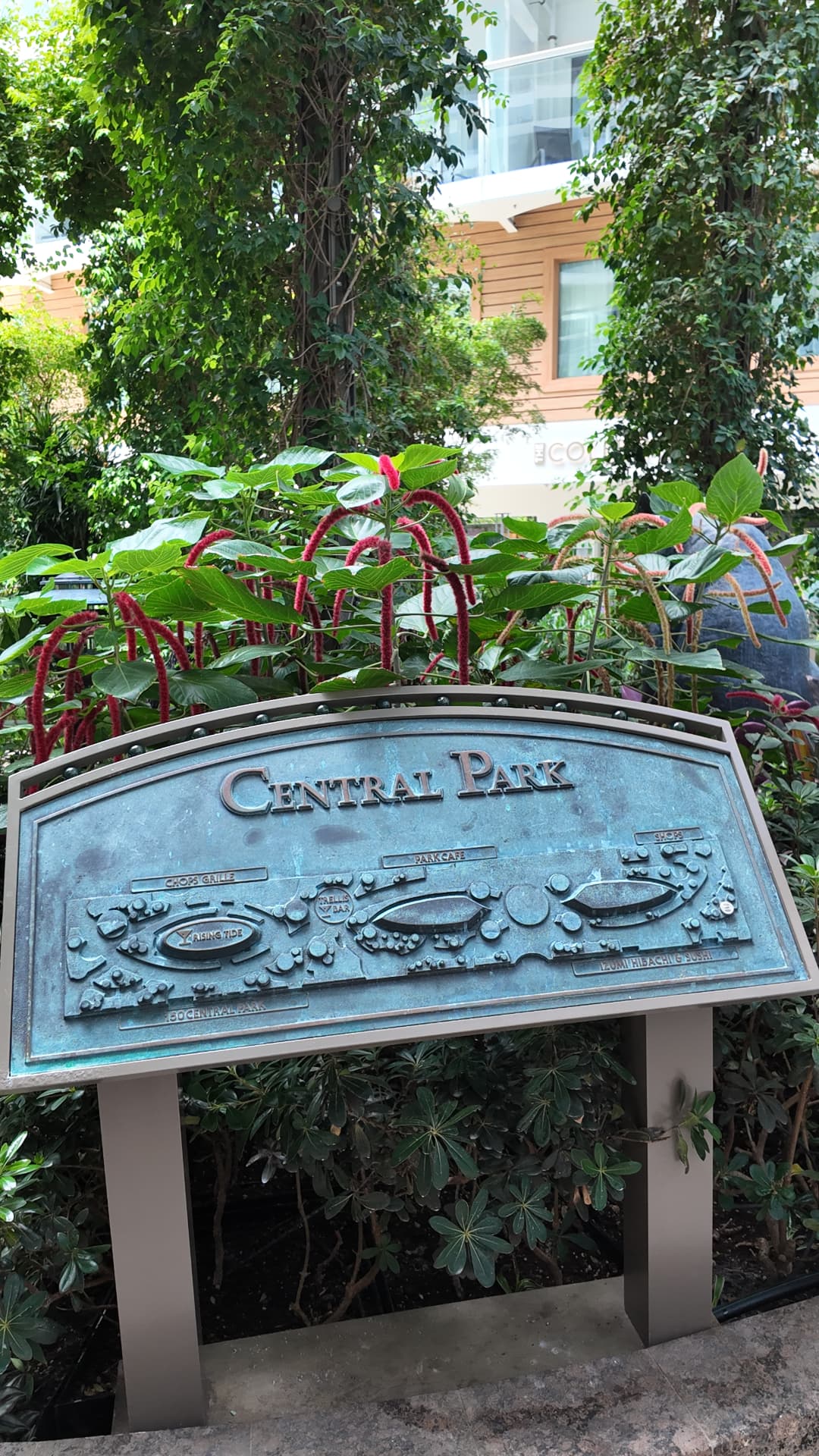 A bronze Central Park sign surrounded by leafy plants