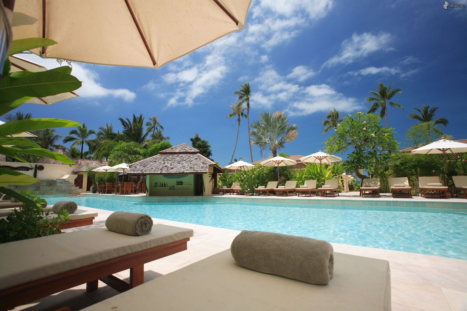 W Punta Cana, photo 2 from Bridget's visit