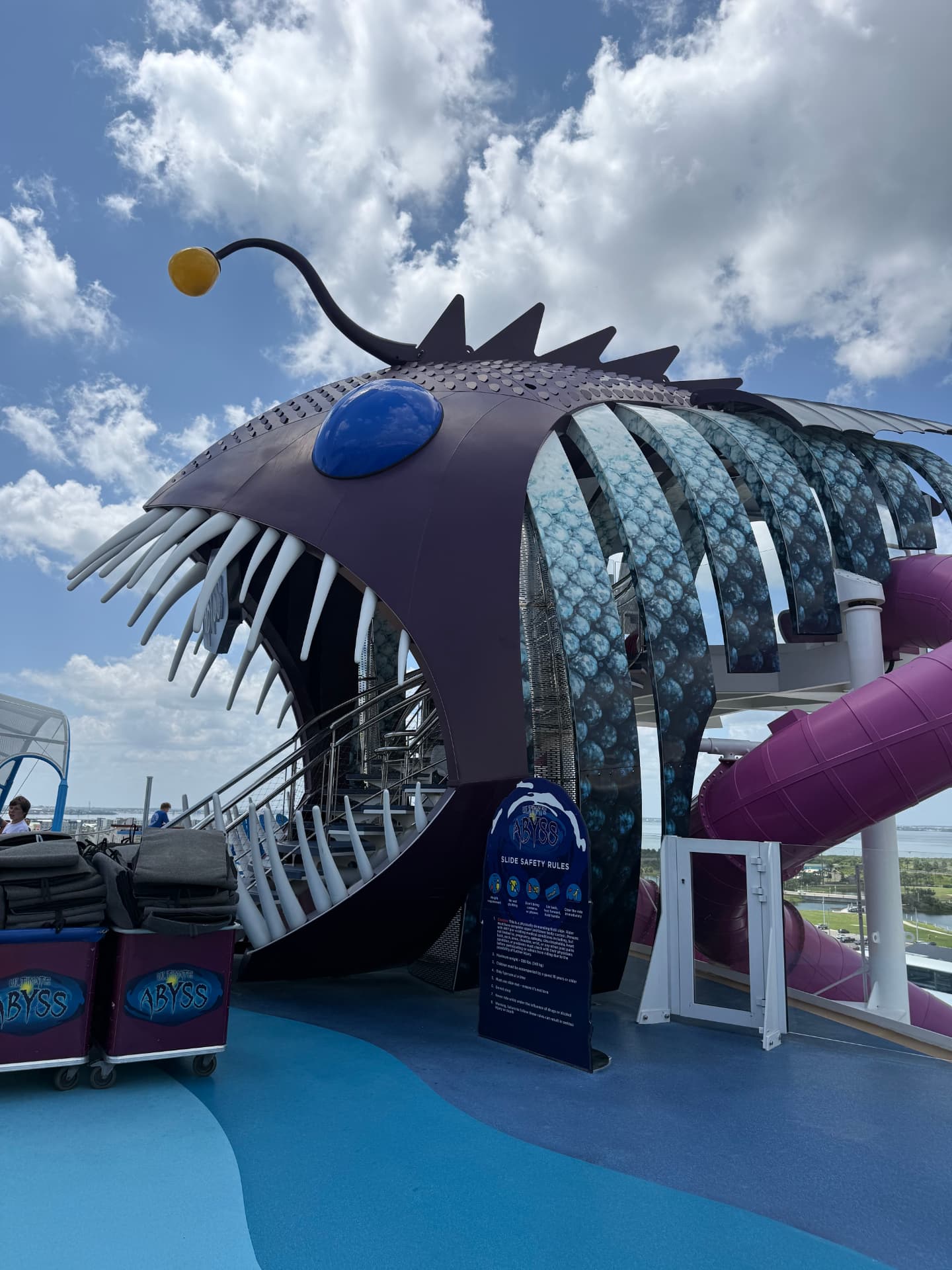 Waterslides, the Ultimate Abyss dry slide, FlowRider surf simulator, and the Boardwalk carousel on Utopia of the Seas