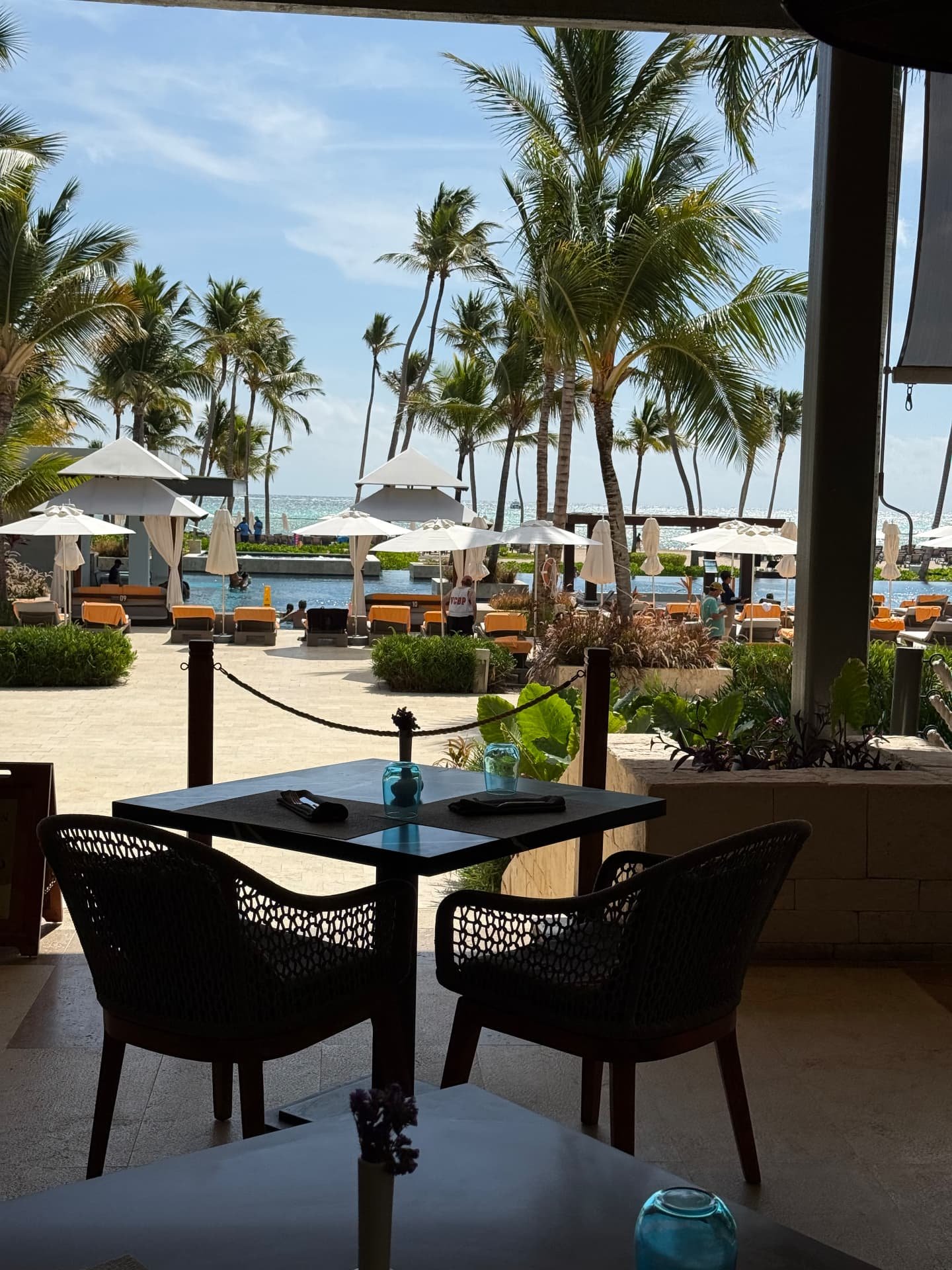 Hyatt Ziva Cap Cana, photo 1 from Bridget's visit